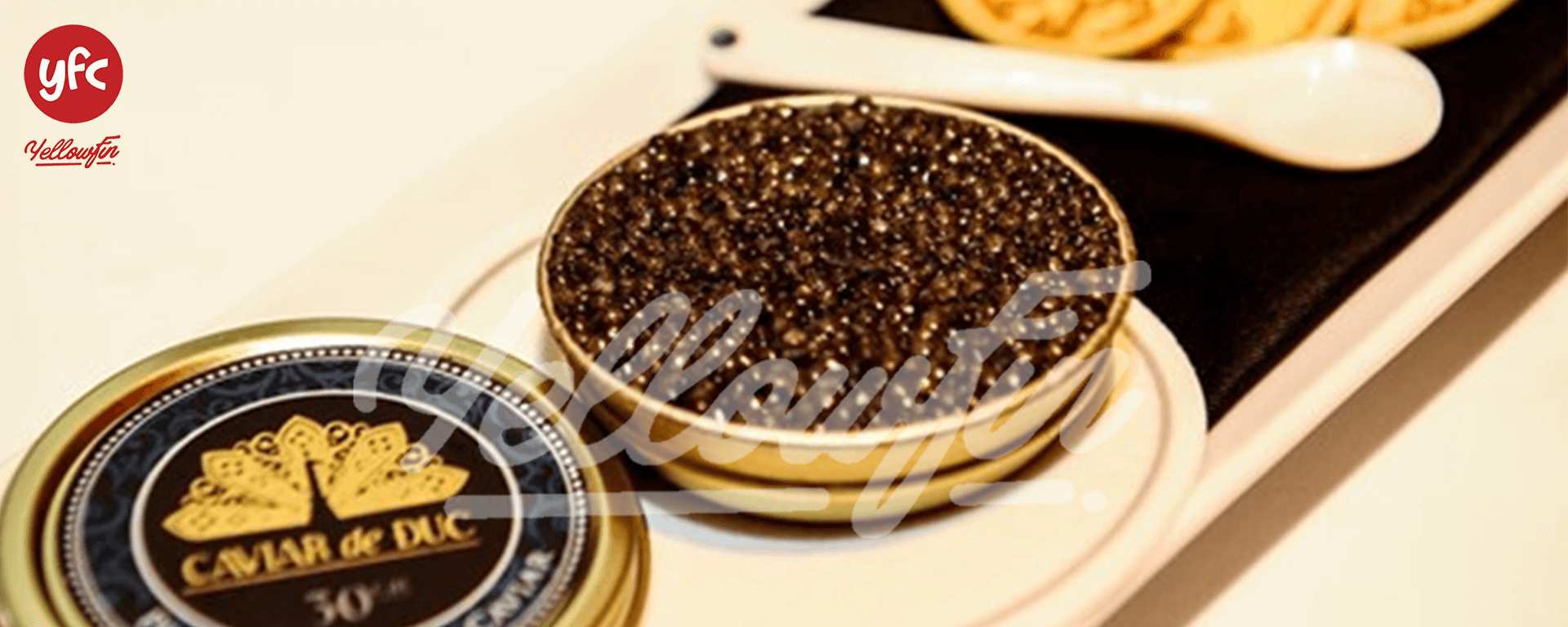 Trứng cá tầm Caviar De Duc yfc